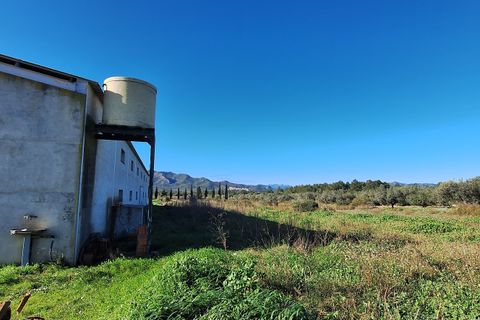 Finca i Ginestar, Tarragona, Ginestar - € 210.000 | Ref: CC837 - foto 26